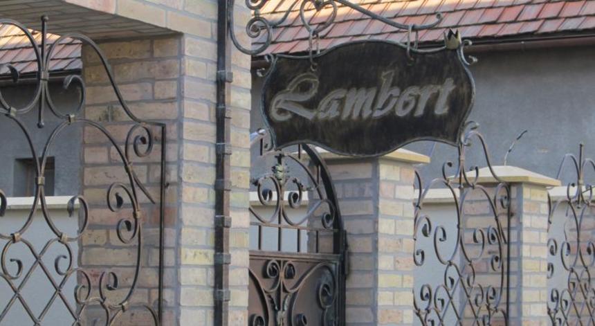 Family House Lambert Берегове Family House Lambert Берегове