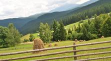 Готель Форвард, Ясіня Форвард фото-2