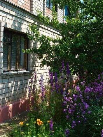 У Виталия Залізний Порт У Виталия Залізний Порт