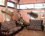 Вілла Бахус, Ялта Бахус фото-1