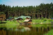 Комплекс відпочинку Сосновий Бір, Львів Сосновий Бір фото-0