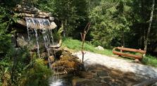 Готель Дикий мед, Татарів Дикий мед фото-0