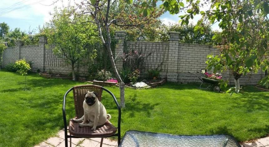 Південний Дворик Одеса Південний Дворик Одеса