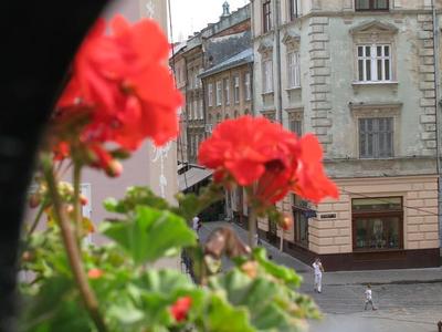 Старе місто Львів