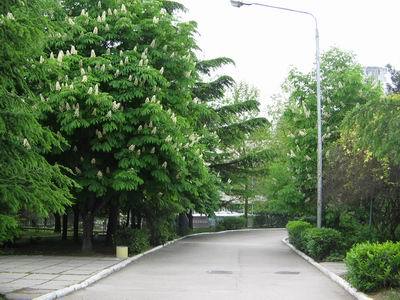 Славутич Алушта