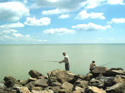 Морской бриз Новокостянтинівка