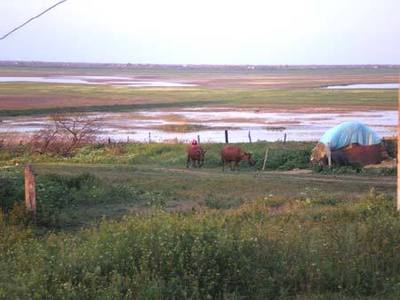 Морской бриз Новокостянтинівка