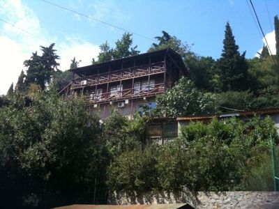 Кипарис Гурзуф