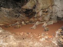 Ерміне-Баїр-Хосар (Печера Мамонтів)