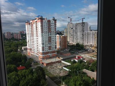 Флора Харків