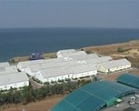 База відпочинку Атлантус, Севастополь Атлантус фото-2