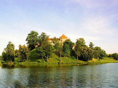 Свіржський замок