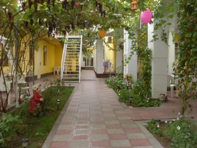 Лев Затока