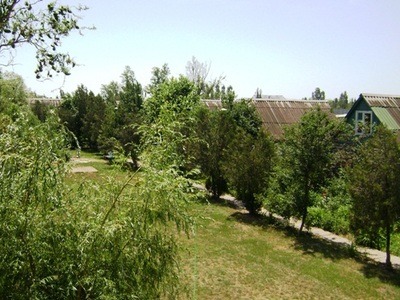 Веселка Більшовик
