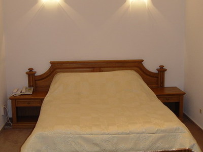 Пелікан Дніпро