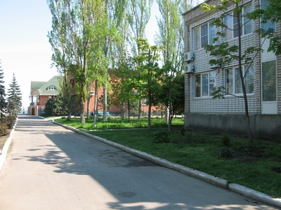 Троянда Мелекіне