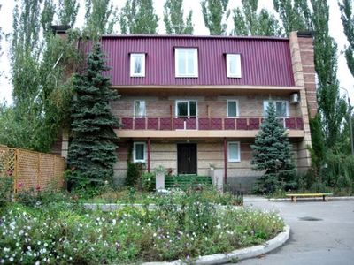 Чайка Мелекіне