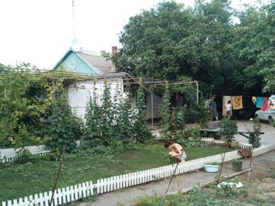 Піщанка Піщане