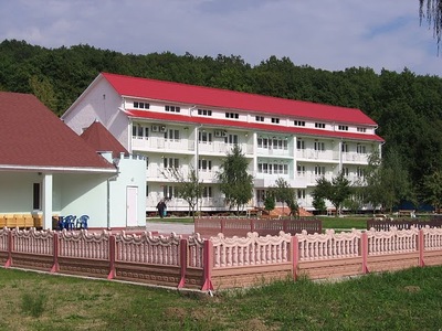 Теплиця Виноградів