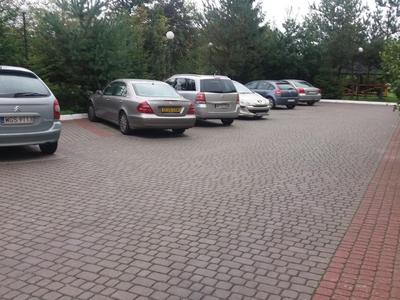 Вікінг Львів