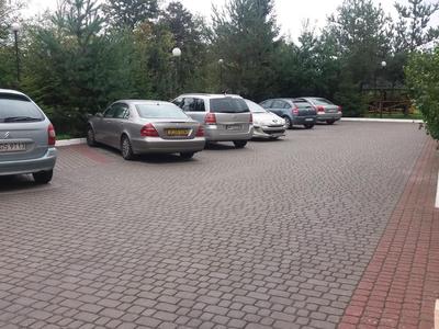 Вікінг Львів