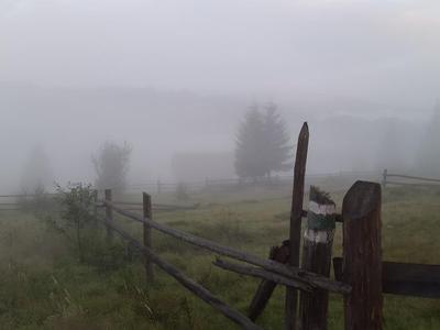 Ковчег Микуличин